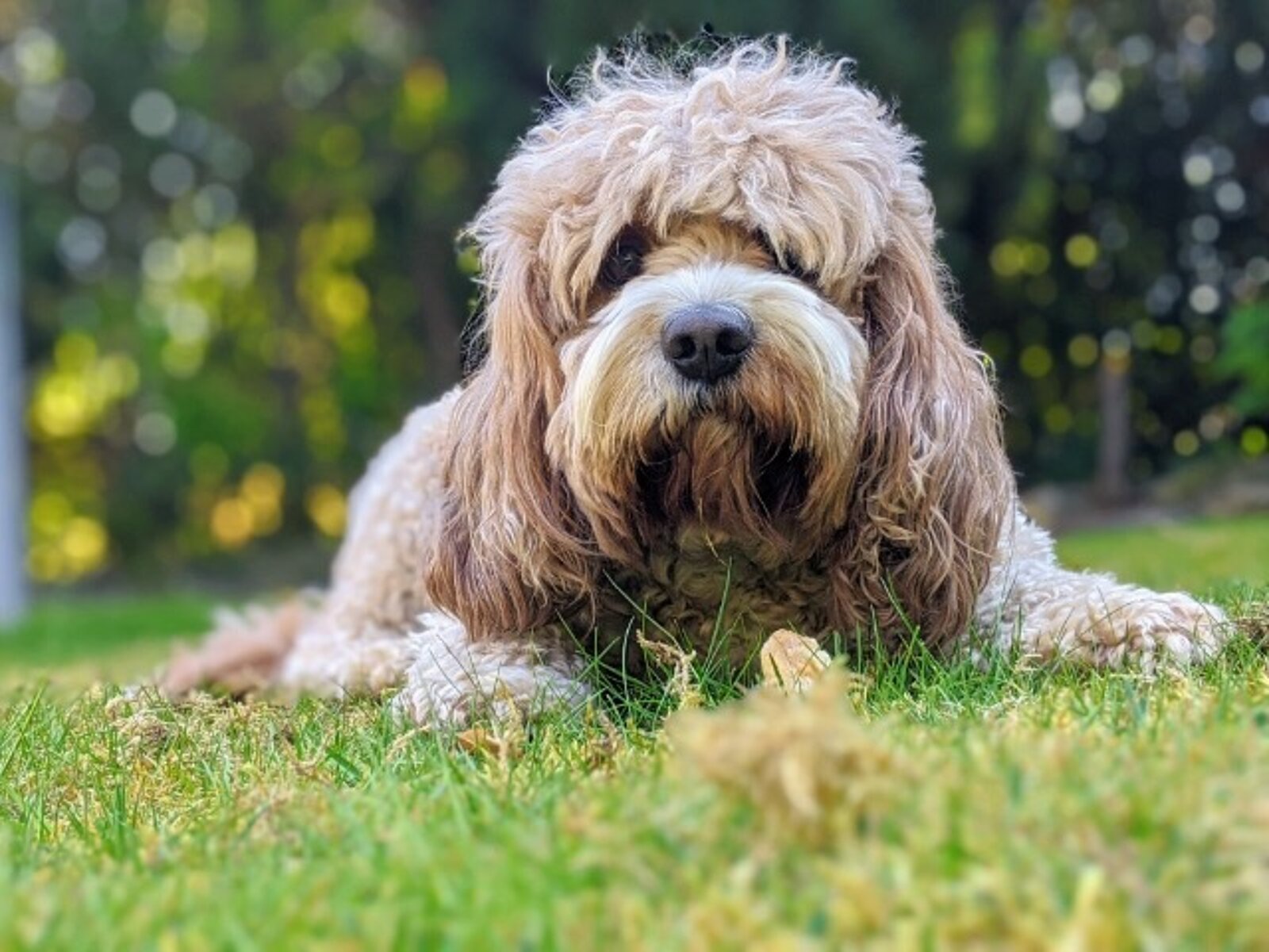Thaikhun thai street food team members